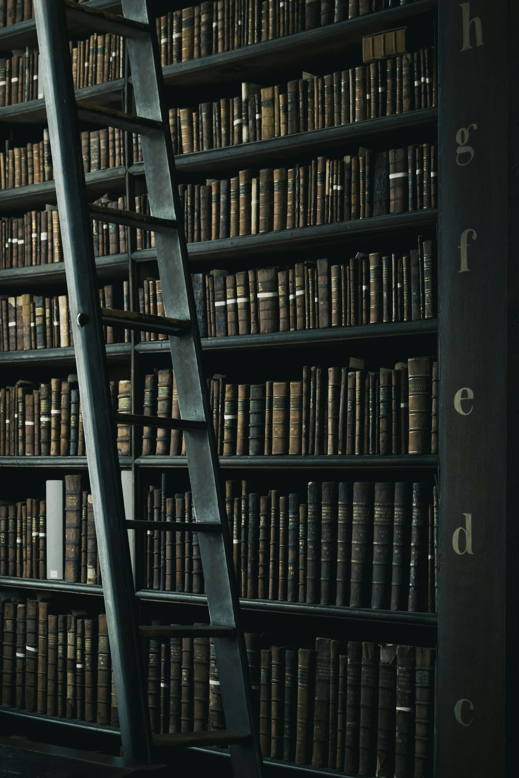 Bound volumes on library shelves