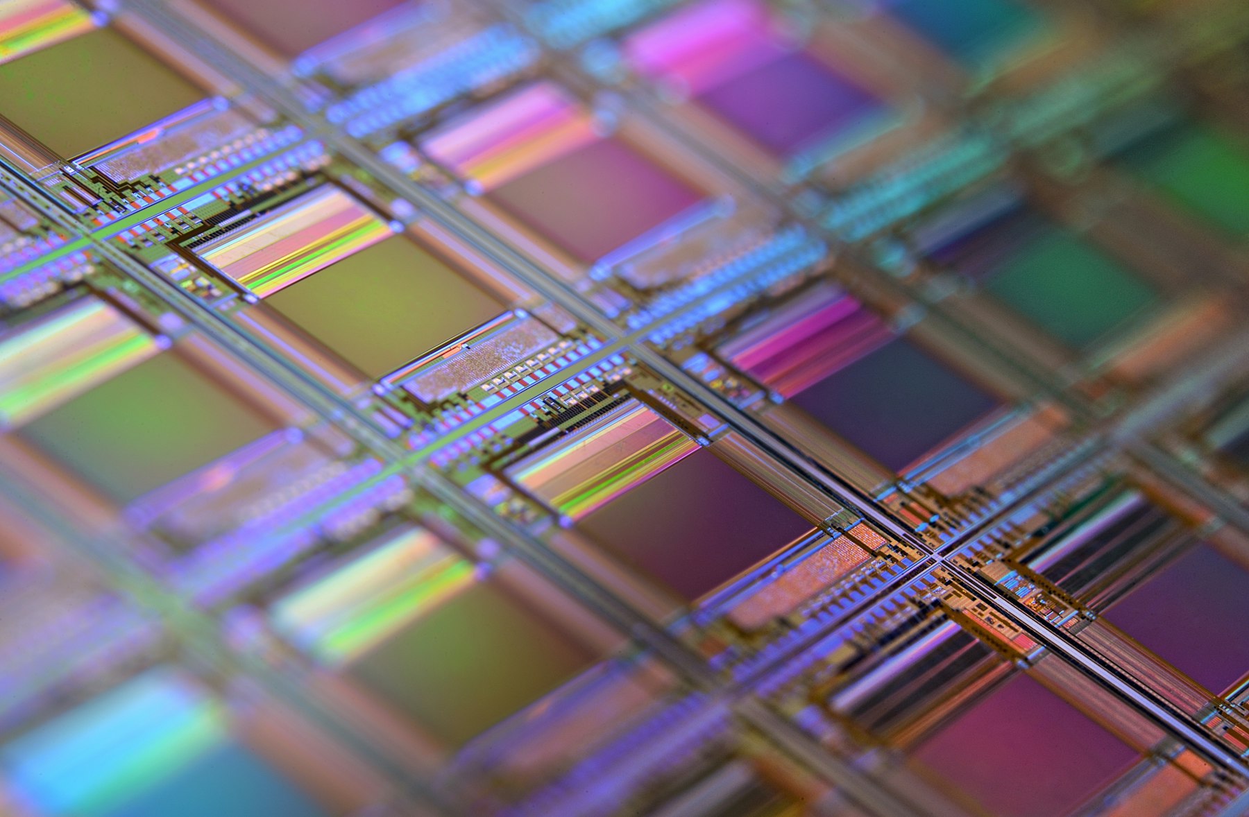 A silicon wafer, close up